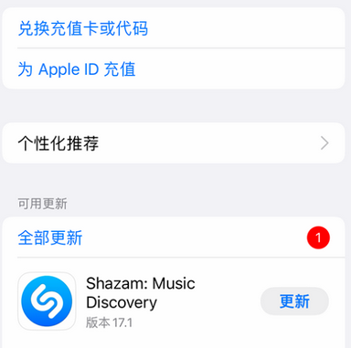 大名大名苹果维修分享无法在iPhone上下载或更新应用办法