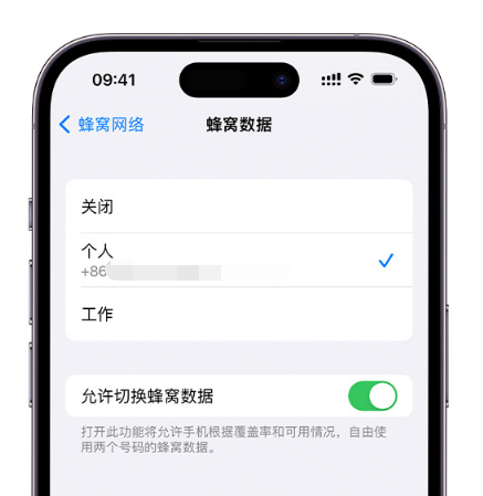 大名苹果维修服务分享如何在iPhone上使用双卡 